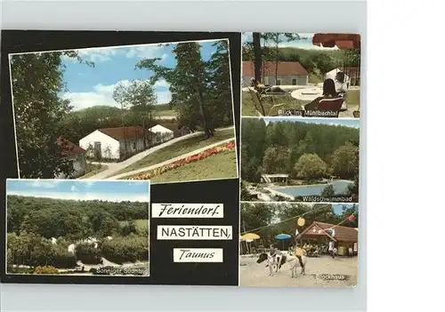 Nastaetten Taunus Feriendorf Blick ins Muehlbachtal Waldschwimmbad Blockhaus Ponyreiten