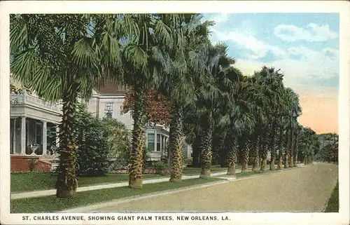 New Orleans Louisiana St: Charles Avenue Giant Palms Kat. New Orleans