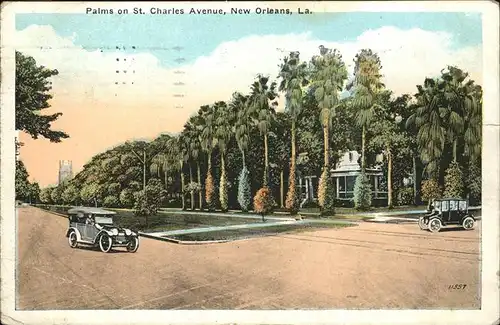 New Orleans Louisiana Palms on St. Charles Avenue Kat. New Orleans