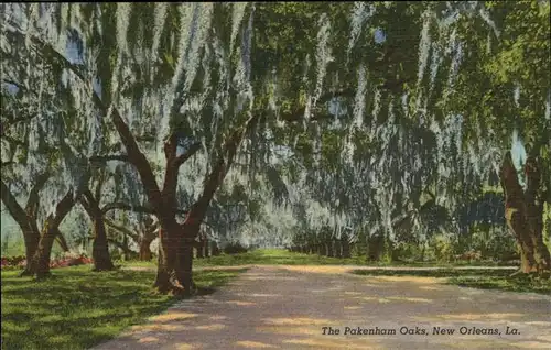 New Orleans Louisiana The Packenham Oaks Kat. New Orleans