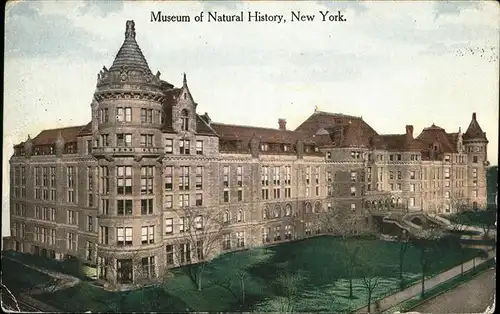 New York City Museum of Natural History / New York /