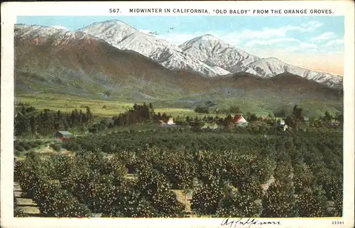Los Angeles California Midwinter in California   Old Baldy from the Orange Groves Kat. Los Angeles