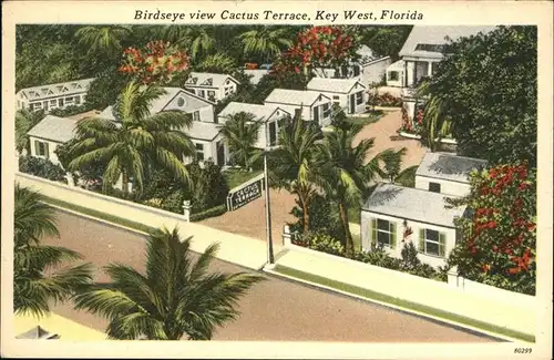 Key West Birdseye view Cactus Terrace Kat. Key West