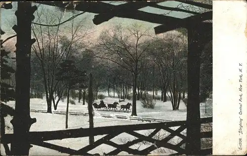 New York City Central Park Pferdeschlitten im Schnee / New York /