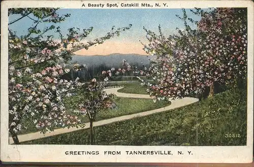 Tannersville New York Apfelblueten Kat. Tannersville