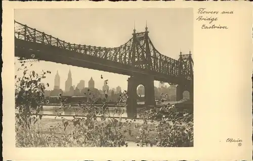 New York City Flowers and Bridge Eastriver / New York /