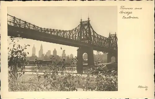 New York City Flowers and Bridge Eastriver / New York /