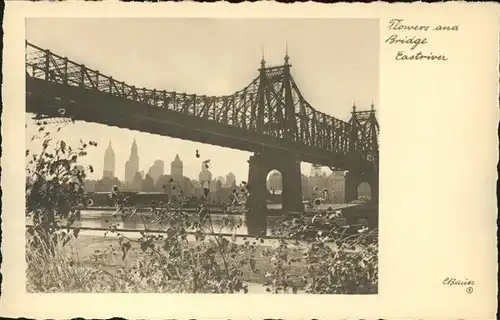 New York City Flowers and Bridge Eastriver / New York /