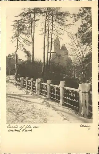 New York City Central Park Castle of the air in winter / New York /