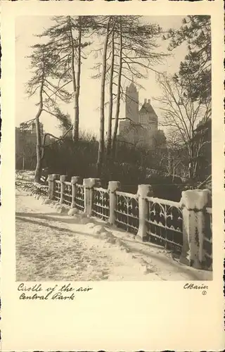 New York City Central Park Castle of the air in winter / New York /