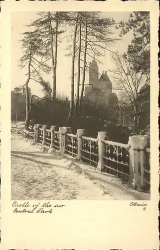 New York City Central Park Castle of the air in winter / New York /