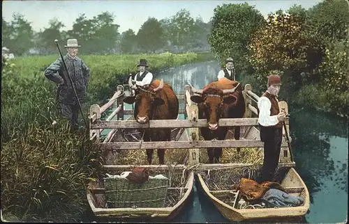 Tiere Viehtransport Spreewald Kat. Tiere