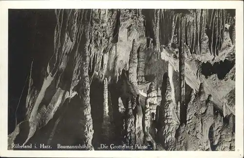 Hoehlen Caves Grottes Tropfsteinhoehle Ruebeland Baumannshoehle Palmengrotte / Berge /