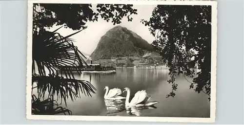 Dampfer Binnenschifffahrt Lago di Lugano / Schiffe /