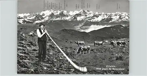 Alphorn Pilatus Kuehe Alphornblaeser / Musik /