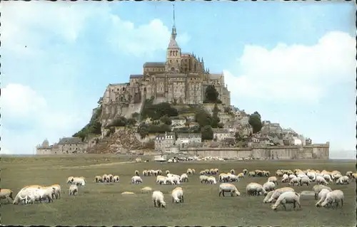 Schafe Mont Saint-Michel Manche / Tiere /