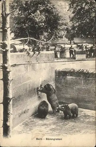 Baeren Baerengraben Bern Kat. Tiere