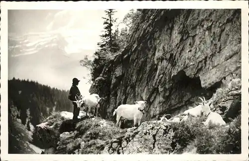 Hirte Ziegen Leysin Kat. Landwirtschaft