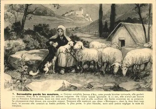 Schafe Bernadette garde les moutons Hund  Kat. Tiere