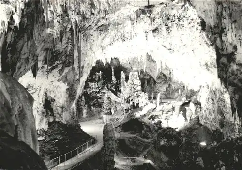 Hoehlen Caves Grottes Postojna Slowenien Kat. Berge