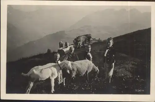 Ziege Kinder Lauterbrunnen Kat. Tiere