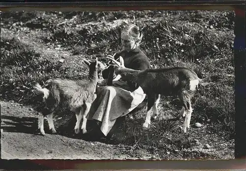 Ziege Idyll Bergweg Schweiz Kat. Tiere