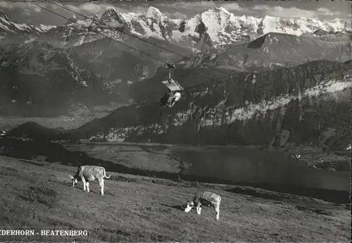 Sessellift Kuehe Beatenberg Niederhorn Kat. Bahnen