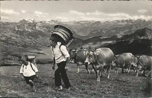 Kuehe Alpfahrt Rigi Kat. Tiere