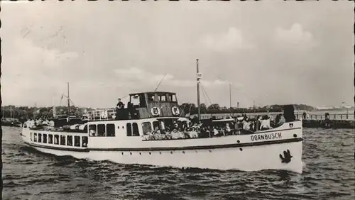 Dampfer Binnenschifffahrt MS Dornbusch Weisse Flotte Stralsund Kat. Schiffe