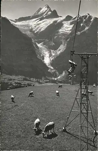 Sessellift Grindelwald First Kuehe Kat. Bahnen