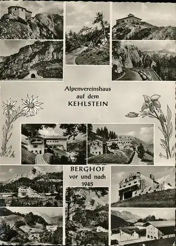 Edelweiss Alpenvereinshaus Kehlstein Berghof 1945 Kat. Pflanzen