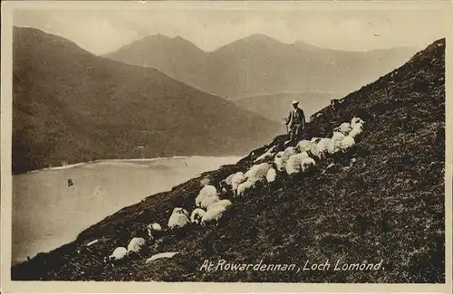 Hirte Rowardennan Loch Lomond Kat. Landwirtschaft