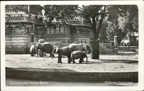 Zoo Berlin Elefanten Freianlage Kat. Tiere