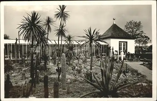 Ausstellung Schaffendes Volk Duesseldorf Suckulentengarten  Kat. Expositions