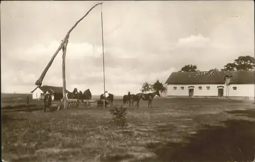 Landwirtschaft Ungarn Traenke / Landwirtschaft /