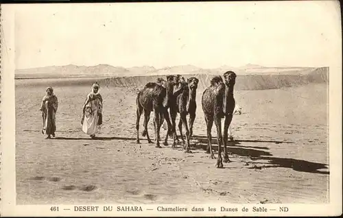 Kamele Wueste Sahara Chameliers dans les Dunes de Sable Tunesien / Tiere /