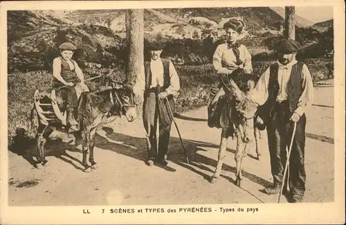 Typen Types des Pyrenees Esel / Typen /