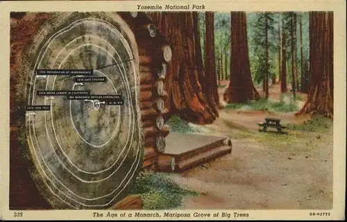 Baeume Trees Age of a Monarch Mariposa Grove of Big Trees / Pflanzen /