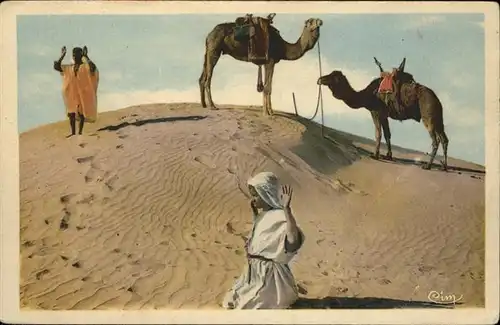 Kamele Wueste Gebet Beten / Tiere /