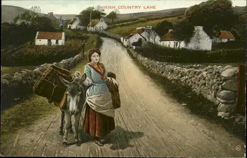 Esel Tiere Irish Country Lane Tracht Frau / Tiere /
