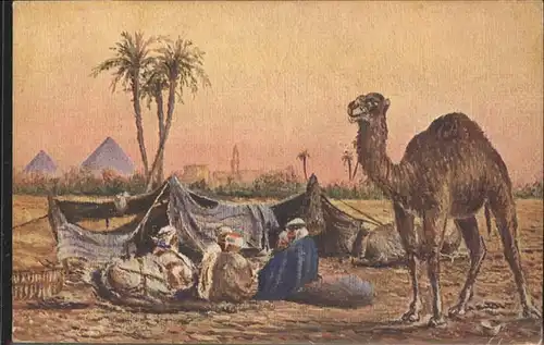 Kamele aegypten Araber Zelt / Tiere /