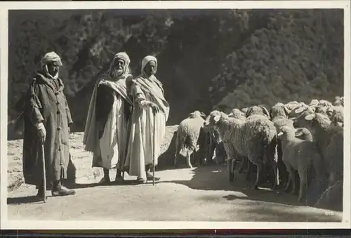 Typen Orientalisch Hirten Schafe / Typen /