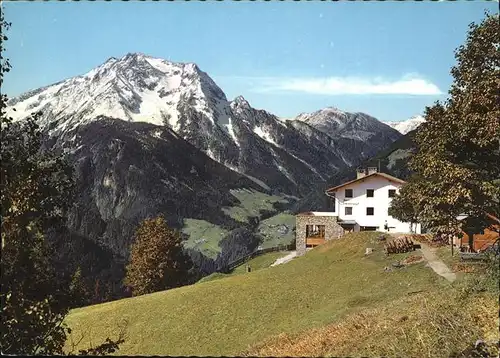 Zillertal Berggasthaus Steinerkogel / Regionales /