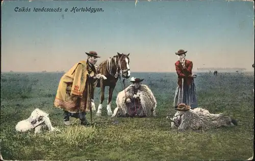 Balkan Csikos tanacscozas a Hortobagyon Pferd Ungarn / Mazedonien /