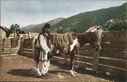 Pferde Hudzule Bukarest / Tiere /