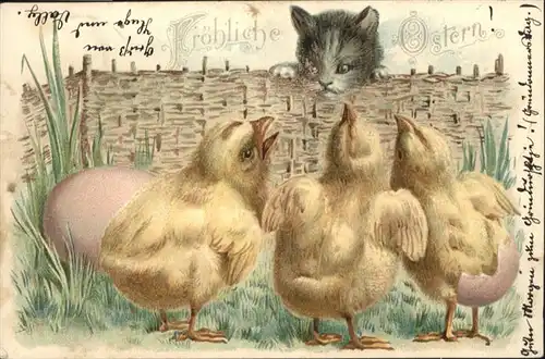 Ostern Easter Paques Kueken Katze / Greetings /