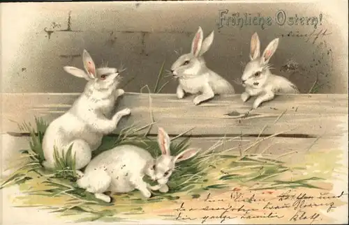 Ostern Easter Paques Hasen Albinos / Greetings /