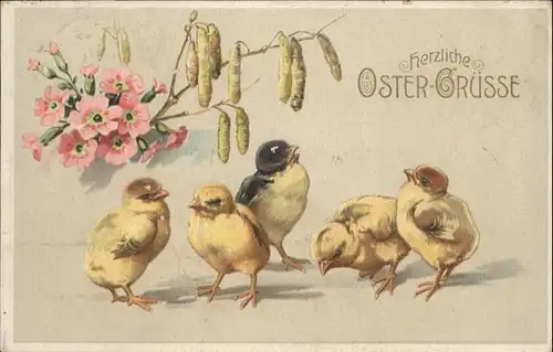 Ostern Easter Paques Kueken  / Greetings /