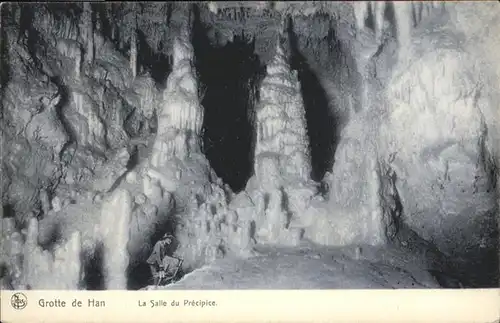Hoehlen Caves Grottes Grotte de Han Salle du Precipice Tropfstein  / Berge /