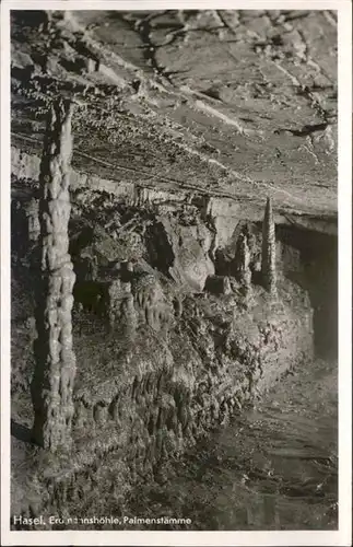 Hoehlen Caves Grottes Hasel Erdmannshoehle Palmenstaemme Tropfstein  / Berge /